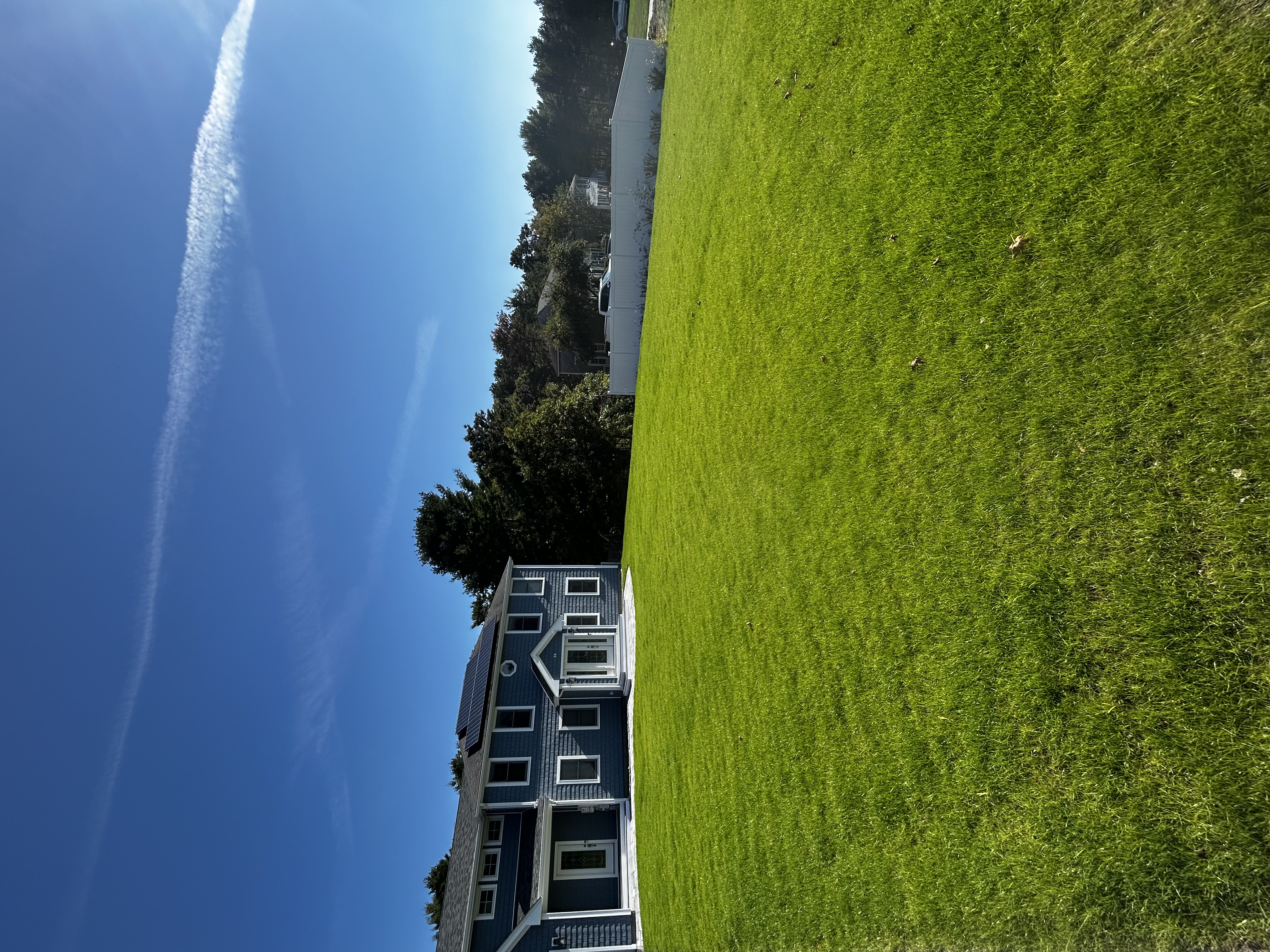 Lawn installation project 6